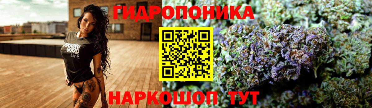 Клинцы  МАРИХУАНА VHQ  Шишки марихуана AK-47  Вход с VPN  Канабис индика  Каннабис VHQ 